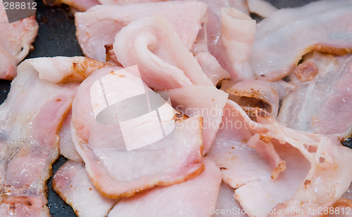 Image of Bacon