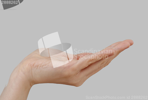 Image of White hand on perfect gray background
