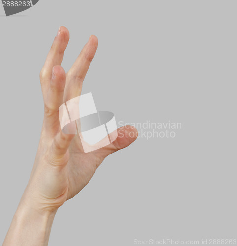 Image of White hand on perfect gray background