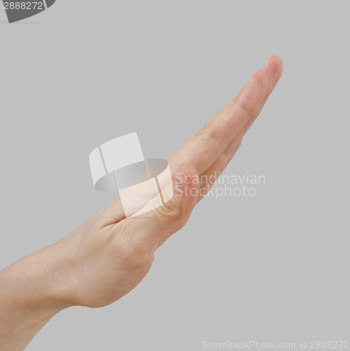 Image of White hand on perfect gray background