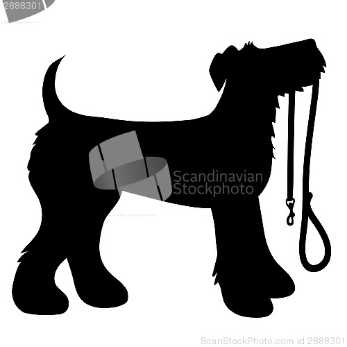 Image of AIredale Terrier Leash