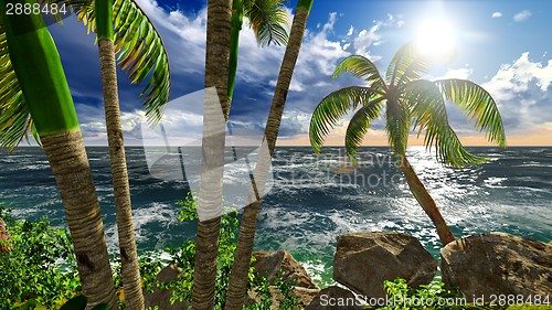 Image of Paradise on Hawaii Island