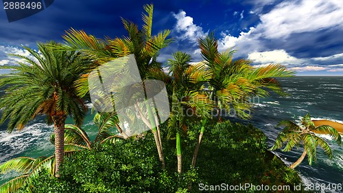 Image of Paradise on Hawaii Island