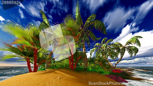 Image of Paradise on Hawaii Island