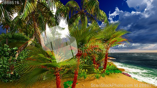 Image of Paradise on Hawaii Island