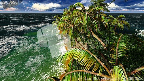 Image of Paradise on Hawaii Island