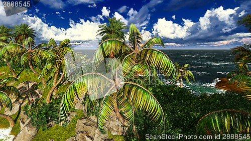 Image of Paradise on Hawaii Island