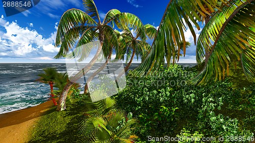 Image of Paradise on Hawaii Island