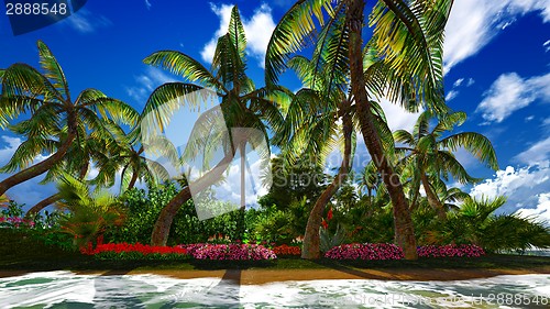 Image of Paradise on Hawaii Island