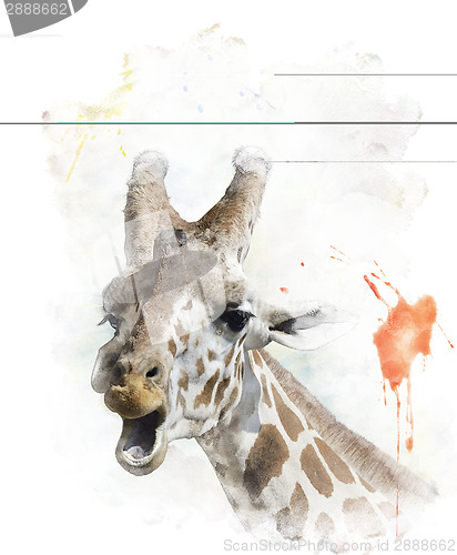 Image of Watercolor Image Of Giraffe 