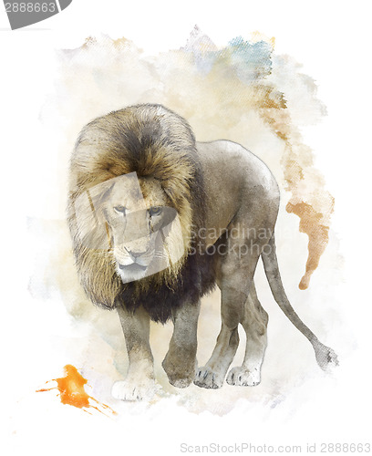 Image of Watercolor Image Of  Walking Lion