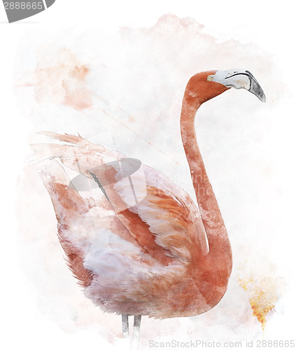 Image of Watercolor Image Of  Flamingo Bird