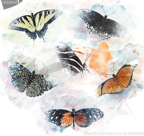 Image of Watercolor Image Of  Butterflies