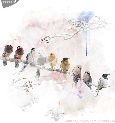 Image of Watercolor Image Of Perching Birds