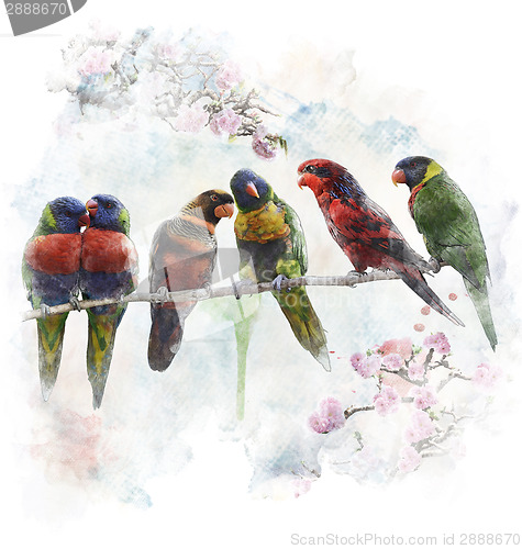 Image of Watercolor Image Of  Colorful Parrots