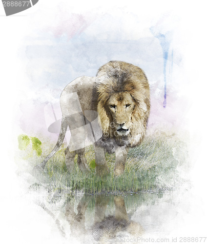 Image of Watercolor Image Of   Lion