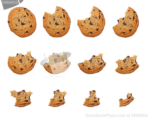 Image of Eating cookie