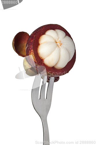 Image of Mangosteen held by a fork