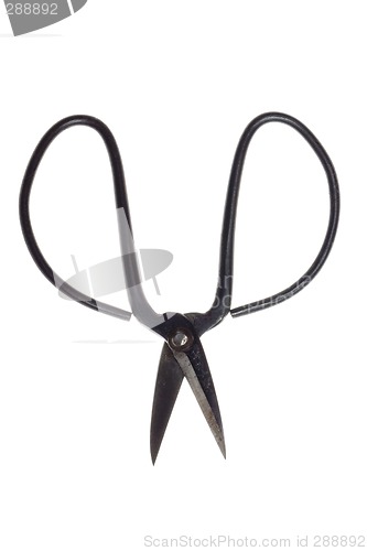 Image of Old scissors

