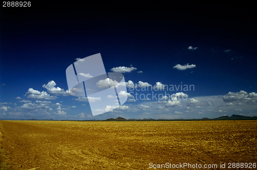 Image of Field