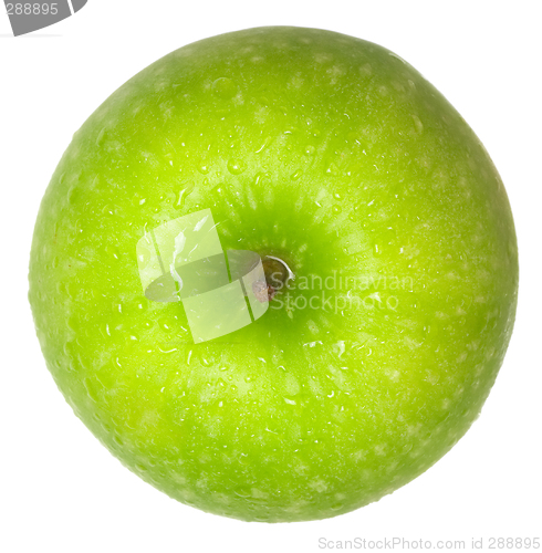 Image of Green apple top view

