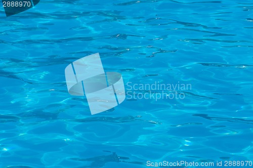 Image of Pool water