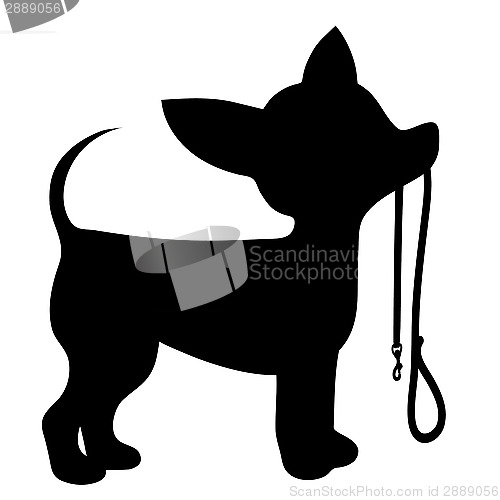 Image of Chihuahua Leash