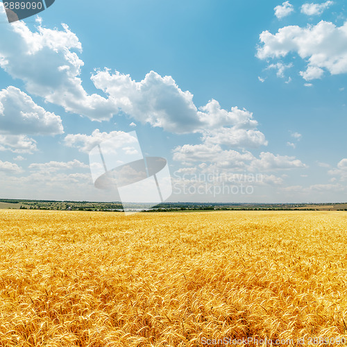 Image of field with golden harvest and clouds in sky