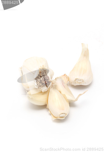 Image of garlic 