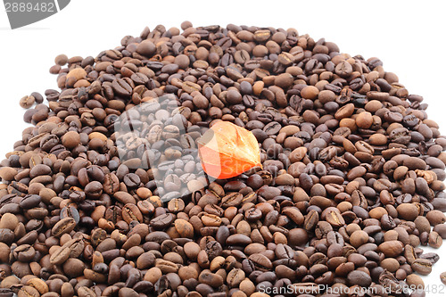 Image of coffee beans