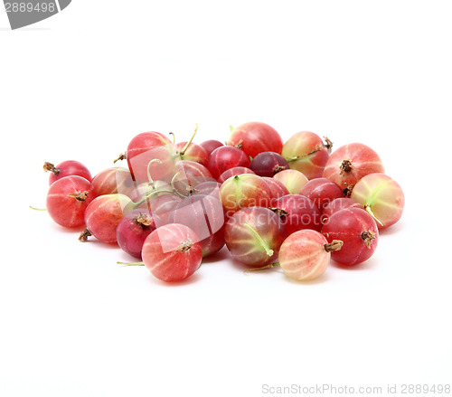 Image of Gooseberry