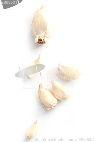 Image of garlic