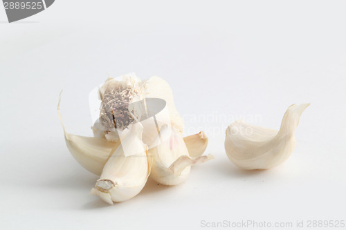 Image of garlic