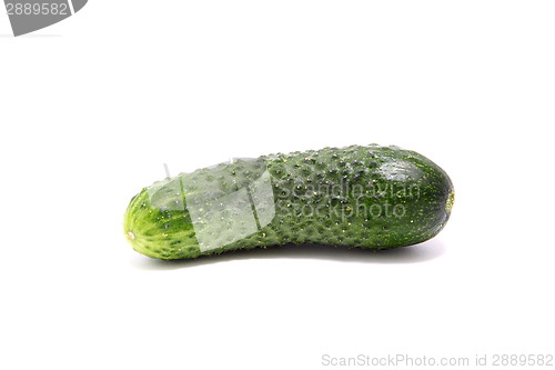 Image of cucumber 