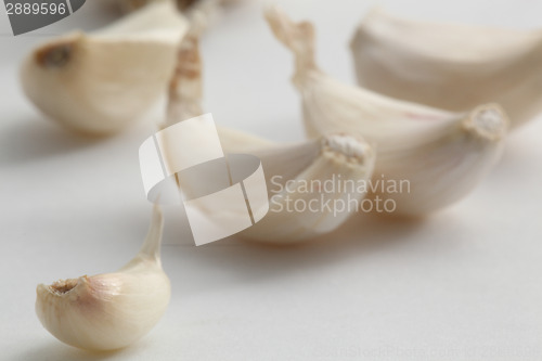 Image of garlic