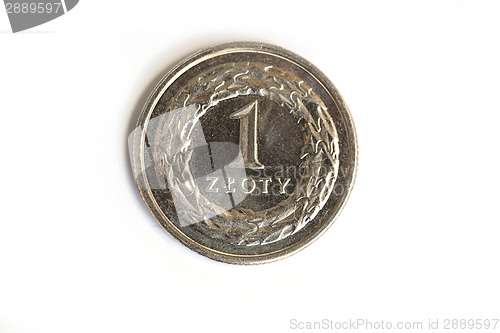 Image of Polish money