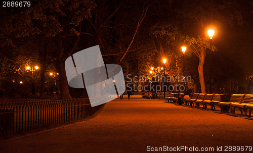 Image of Night walk in a park