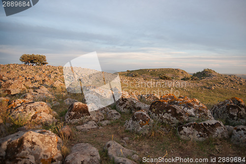 Image of galilee landscape