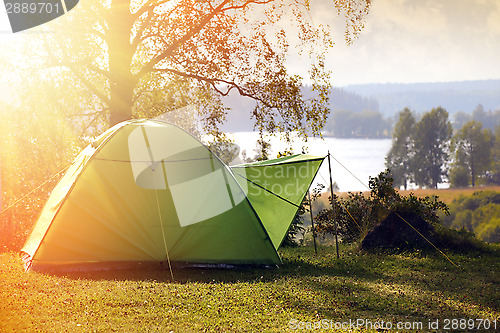 Image of 	Camping in the Forest