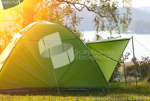 Image of Camping in the Forest