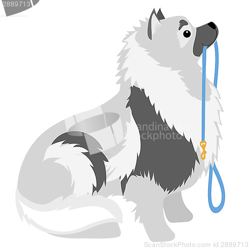 Image of Keeshond Leash