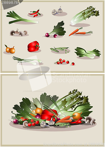 Image of Illustration fresh vegetables. Icon.