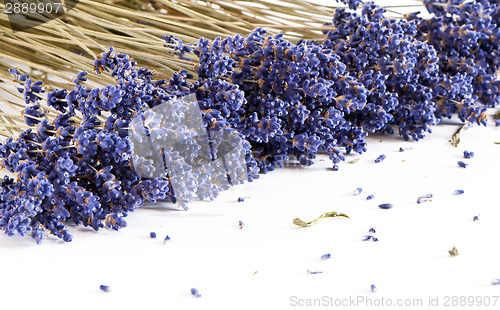 Image of Dried Lavender