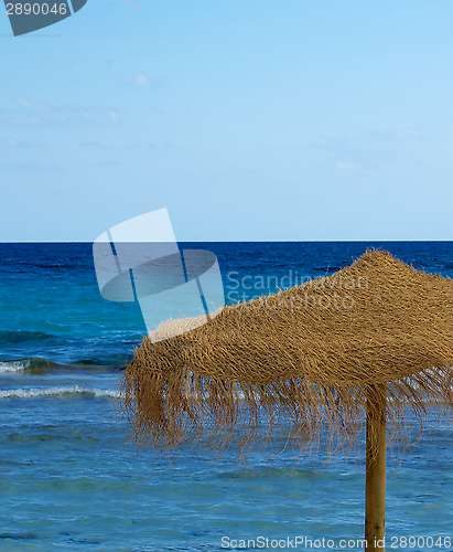 Image of Thatched Umbrella 