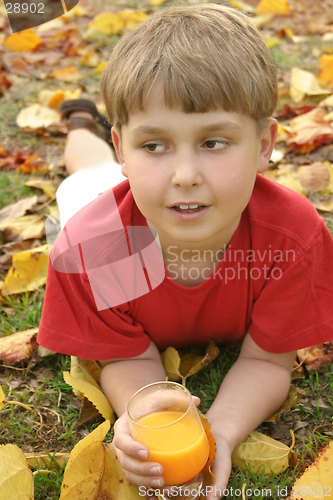 Image of Nature Fresh