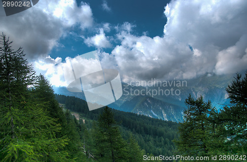 Image of Hiking in Alps