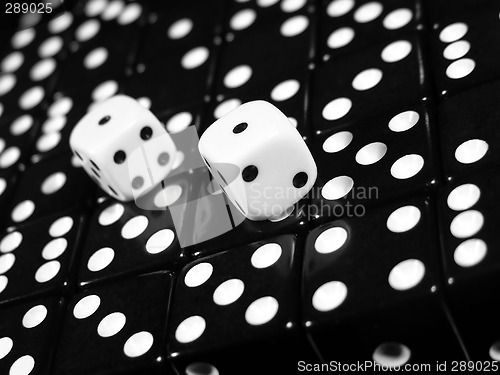 Image of Two White Dice