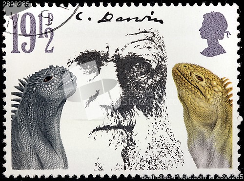 Image of Darwin Stamp