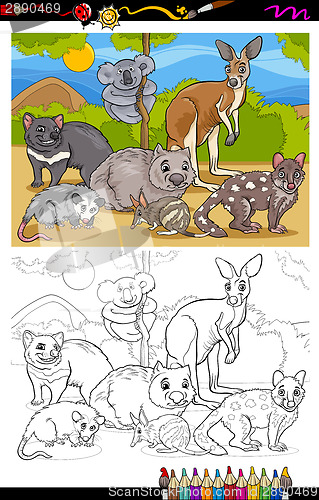 Image of marsupials animals cartoon coloring book