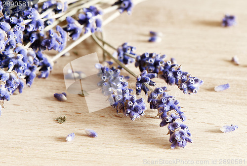 Image of Dried Lavender